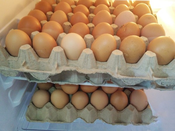 ஃபிரிட்ஜில் முட்டையா..?