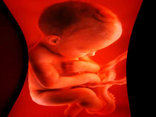 என்னென்ன பரிசோதனைகள்!?