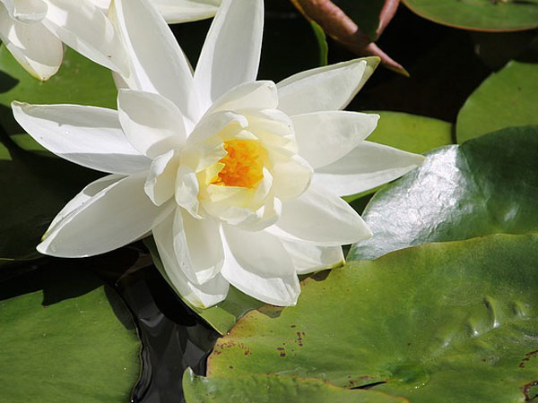 மோட்சம்