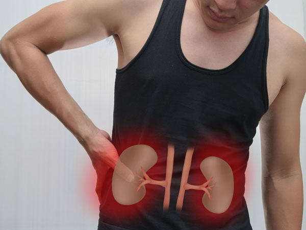 சிறுநீரக செயல்பாடு மேம்படும்