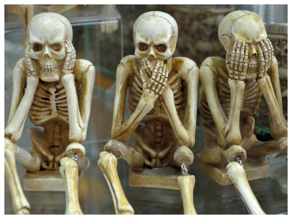 ஆச்சரியமூட்டும் எலும்புகள்...!