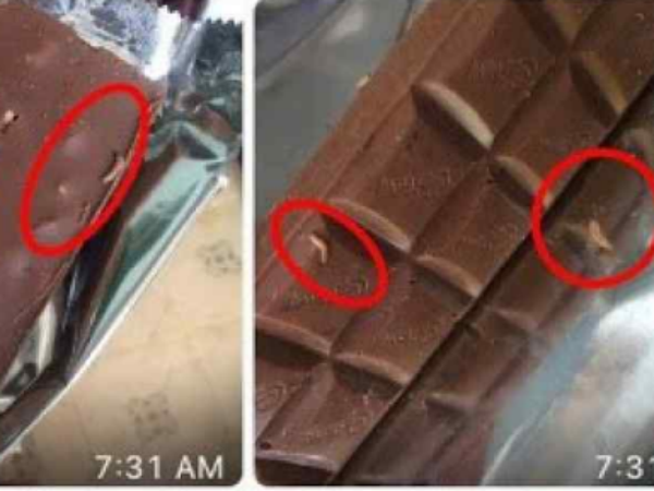 அப்போ அந்த புழுக்கள்..?