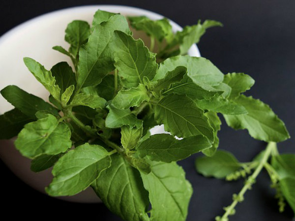 துளசி லோஷன் 