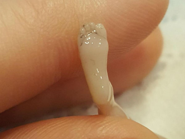 உறுப்புகள்!