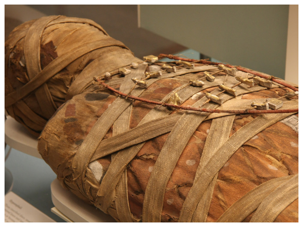 எகிப்தியர்களே முன்னோடிகள்..!