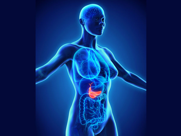 கணையம்- என்ன வேலை..?