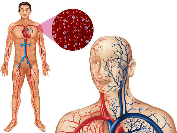 ரத்த ஓட்டம்