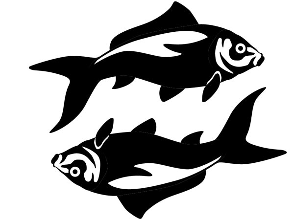 மீனம் மீனம்