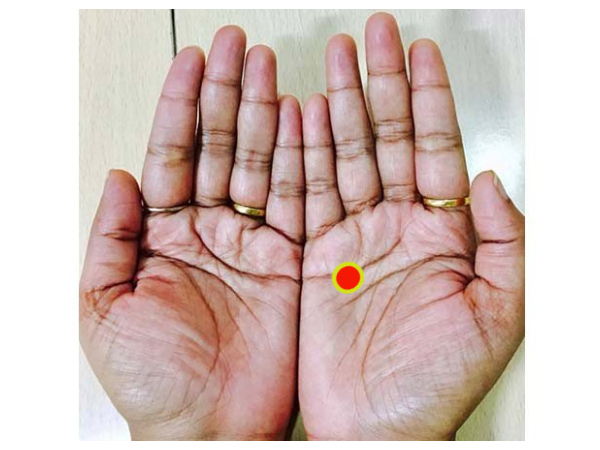 கையின் உட்பகுதியில் 