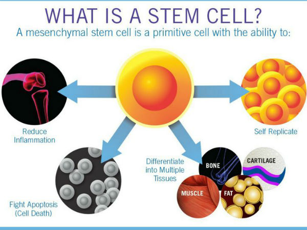 பாதுகாக்கும் முறை 