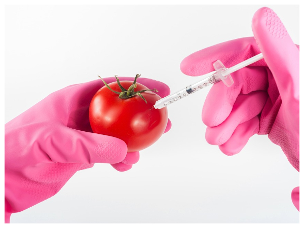 மரபணு மாற்றமா..!