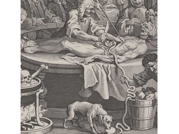 மருத்துவமும் உணவும்..!