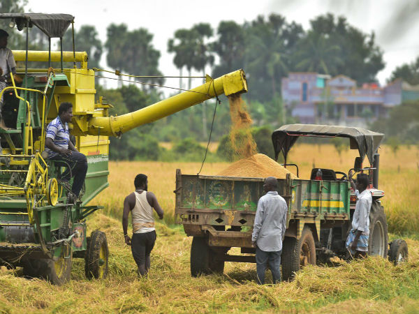 வளமையின் குறியீடு