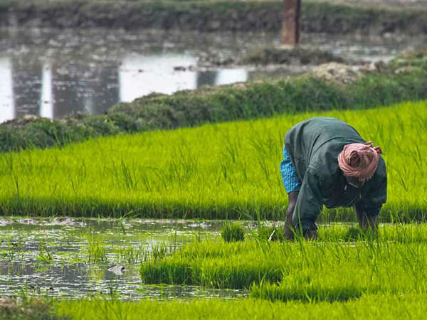 இயற்கையே சிறந்தது..!