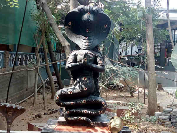 ராகு திசை