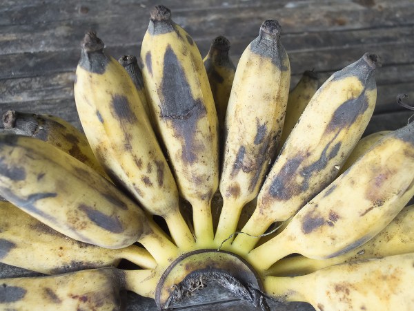 ஜப்பானியர்கள் உணவு