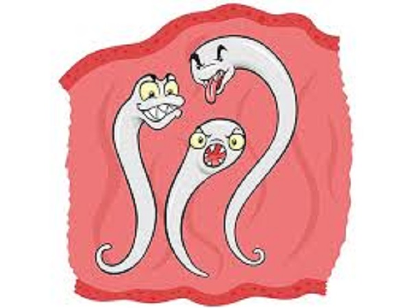 பூச்சு நெருங்காமை 