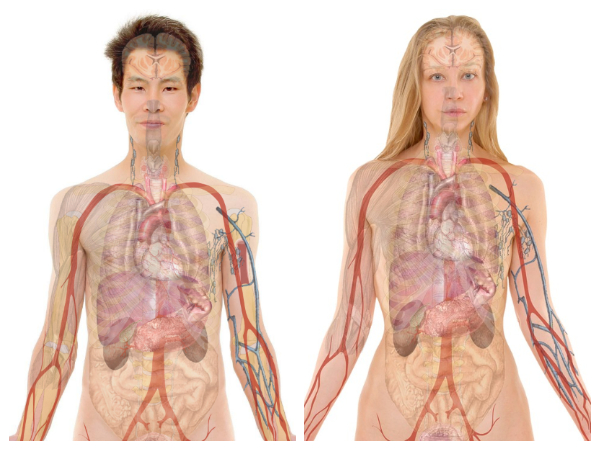 உடலை சுத்தம் செய்ய 