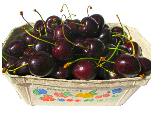 உவர்ப்பு சுவை கொண்ட 