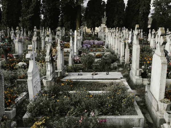 கணவரின் மரணம்!