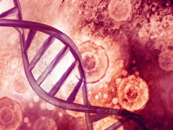 DNA சிதைவு.! DNA சிதைவு.!