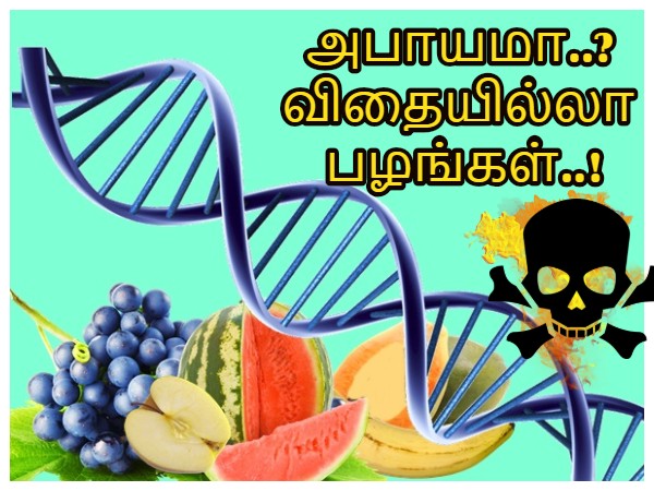 விதைகள் இல்லாத பழங்களை சாப்பிடுவதால் DNA மாற்றம் ஏற்படுமா..? அதிர்ச்சி தகவல்..! விதைகள் இல்லாத பழங்களை சாப்பிடுவதால் DNA மாற்றம் ஏற்படுமா..? அதிர்ச்சி தகவல்..!