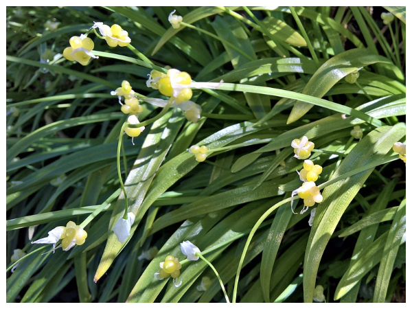 காரணம் என்ன..? காரணம் என்ன..?