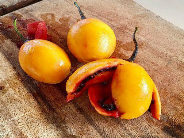 குறுந்தக்காளி என்றால் என்ன?