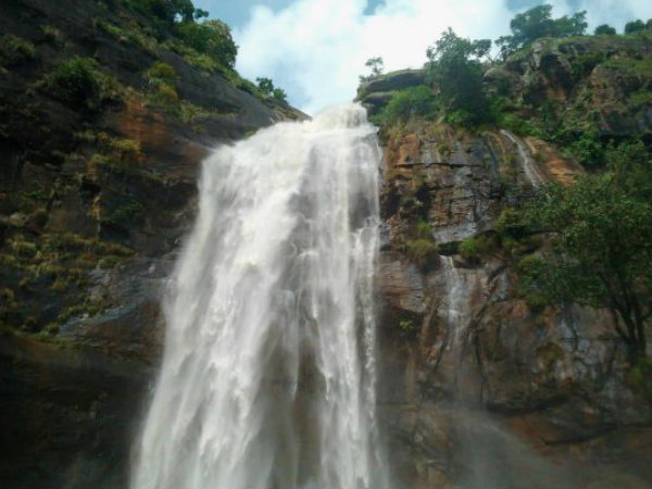 இயற்கையின் சிறப்பு!