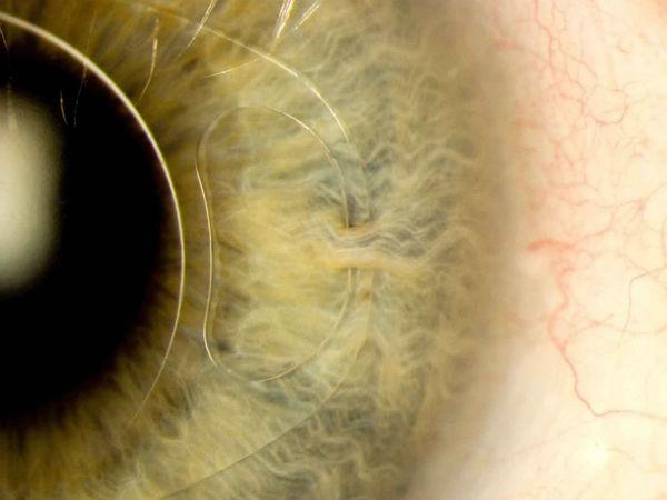 சோதனை காலம்