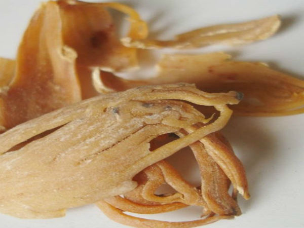 ஊட்டச்சத்து அளவுகள் 