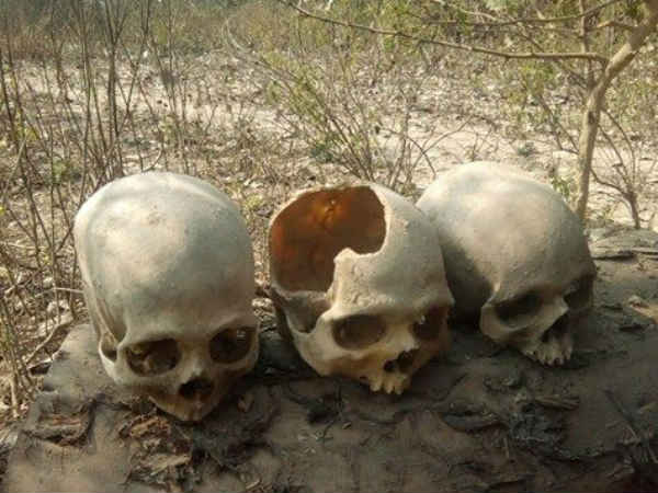 அதிர்ச்சியூட்டும் உண்மைகள்