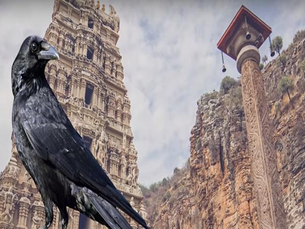 அறிகுறி 3