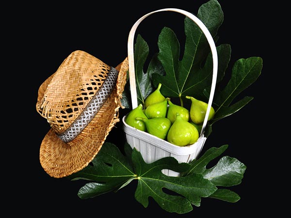 தேவையான பொருட்கள் 