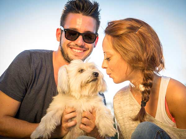 செல்லப்பிராணிகள்