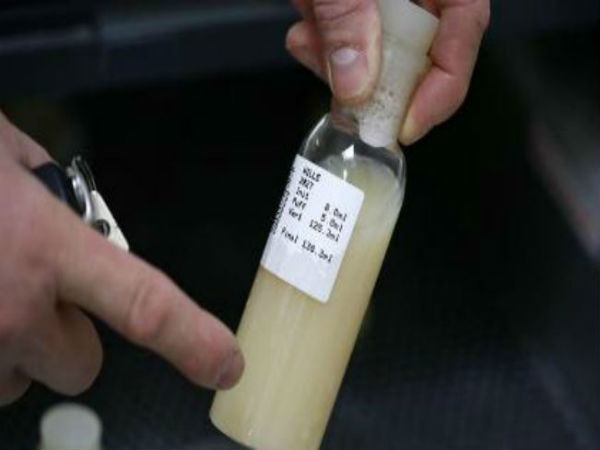 காளை மாட்டின் விந்து 