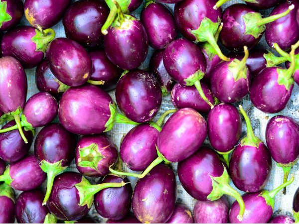 மருத்துவ நன்மைகள்