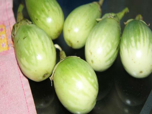 வெளிர் பச்சை கத்தரிக்காய்