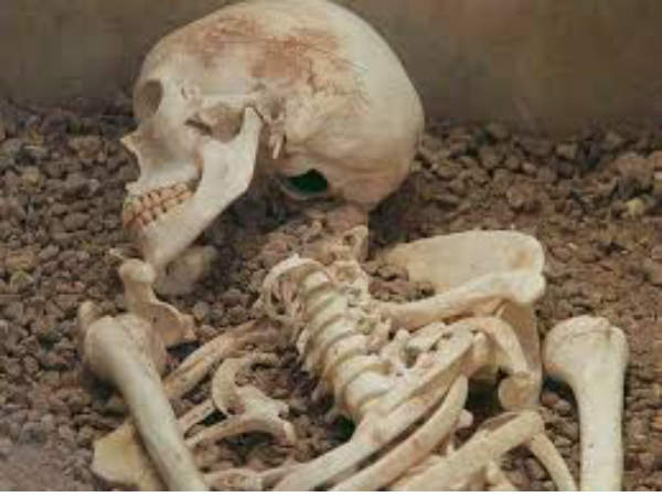 எலும்புகள் வயல்களில் பயன்படுத்தப்பட்டது