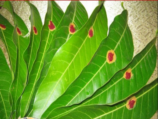 அறிவியல் காரணம்