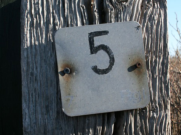 numerology numerology