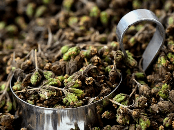 ஹாப் என்பது என்ன?