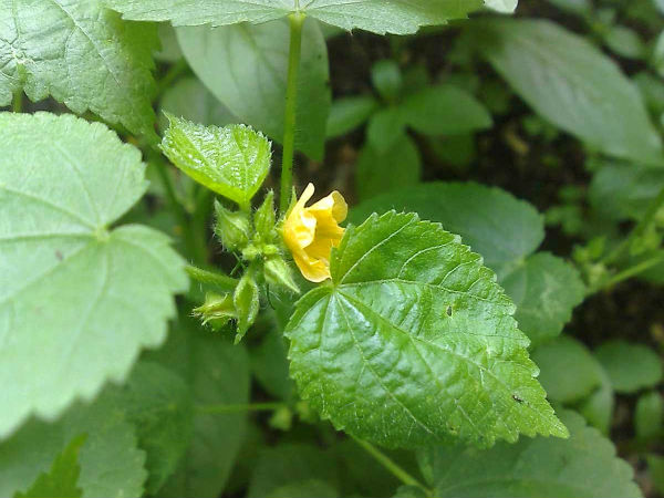 பெயர் என்ன? 