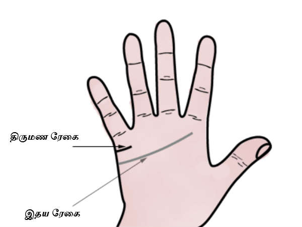 இதய ரேகை