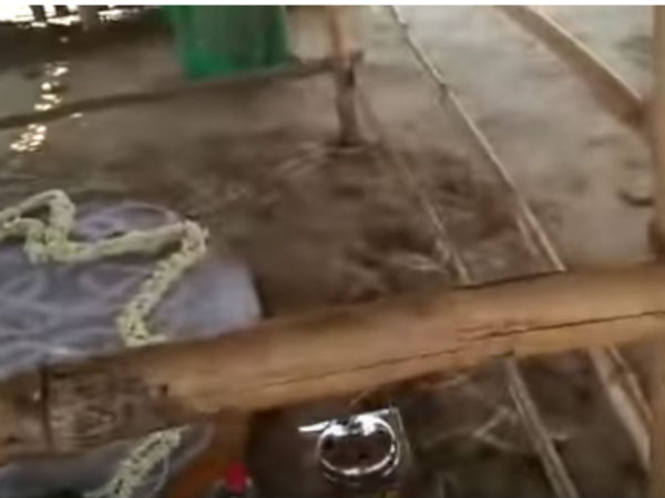 பத்மாசன நிலை