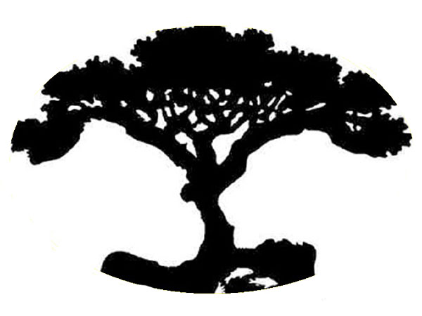 கருப்பு