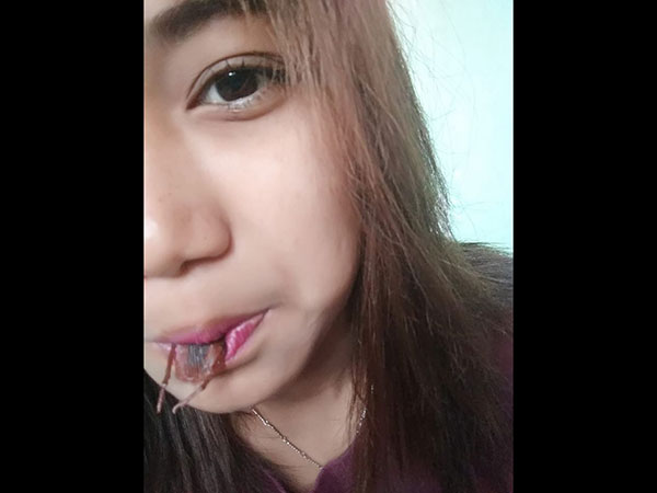 கரப்பான்பூச்சி சவால் கரப்பான்பூச்சி சவால்