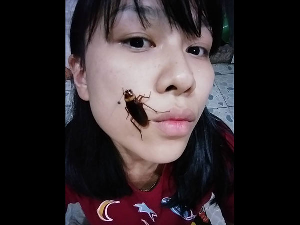 அமெரிக்காவில் ஆரம்பம் அமெரிக்காவில் ஆரம்பம்