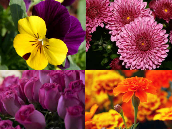 நறுமணம்