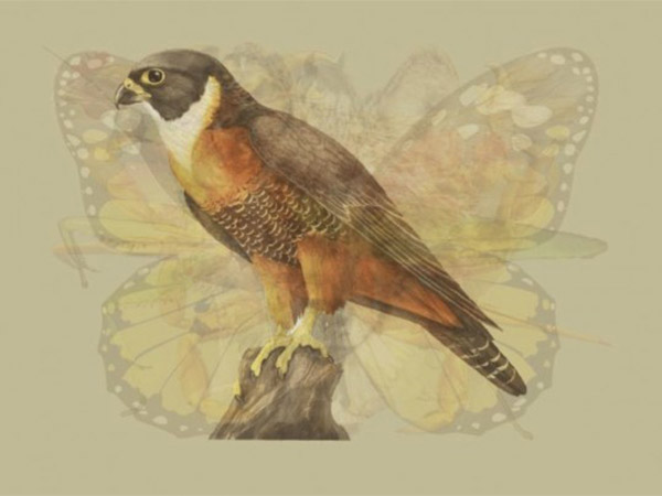 காற்று வீசும் இடம் 